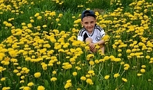 sesja zdjęciowa w mleczach