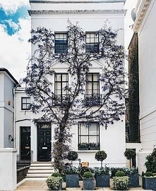 dom z naturalną elewacją