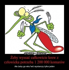 XDD