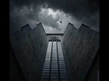 RÓŻE EUROPY MAMY DLA WAS KA...