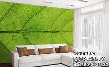 Zielona fototapeta do salonu LIŚĆ. 
Autorskie wzory, szybka realizacja, atrakcyjne ceny za wysoką jakość.