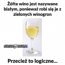 logika