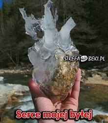 XDD
