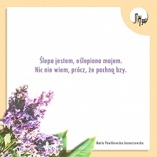 Ja jeszcze w maju :)