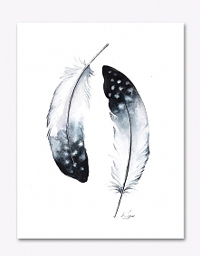 pióra #3 - plakat, reproduk...