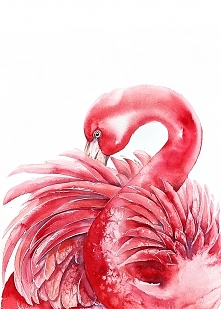 Flaming różowy #2- plakat, ...