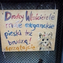 Dokładnie!