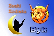 BYK – ZNAK ZODIAKU
(20 kwietnia – 20 maja)

Hasło astrologiczne: POSIADAM

Cechy ogólne: zaradność życiowa, upór i silny instynkt posiadania

Szczęśliwe klejnoty: diament, szmar...
