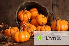 Dynia i jej właściwości