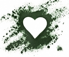 Spirulina a układ krwionośny