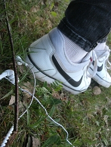 I love forest, and you?