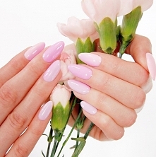 Hybrydy w odcieniu pastelowego różu z najnowszej kolekcji Delicious by Joanna Krupa