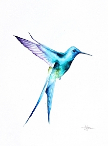 Koliber w locie 2- plakat, reprodukcja A4