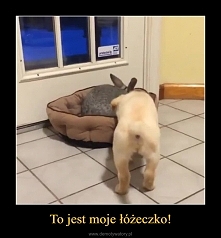 sweeeeeeeeeeeeeeeeeeet