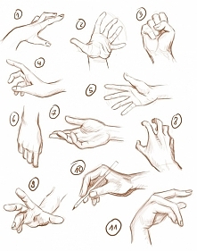 Hejka. Zwracam się do osób które opanowały sztukę rysowania dłoni :D Jak można narysować te dwa małe potworki? Od czego najlepiej zacząć?
P.s rysunki nie moje ;)