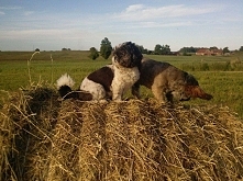 słodziaki ❤❤❤