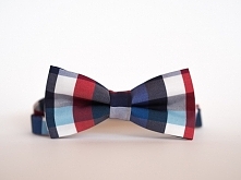 Muszka Krata - Muchotwory