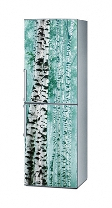 Naklejka na lodówkę - Brzozy 1409