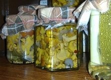 Kurki w occie


1kg kurek
1...