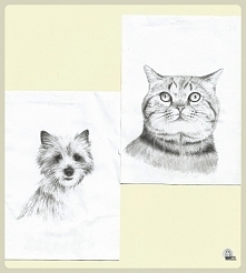 Szkice na podstawie obrazków na ulotkach. Ołówek automatyczny 2b i gumka w ołówku era.