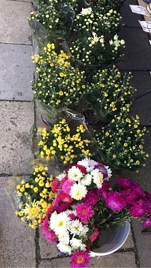 Jesień jest taka piękna, wa...