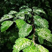 Zdjęcie mojego autorstwa :)