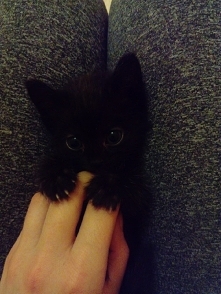 Żegnaj Aniołku :'(