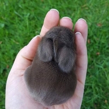 Bardzo miło(　^ω^)