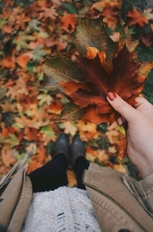 Jesień jest piękna *.*