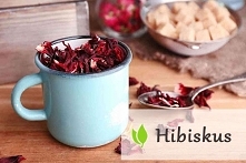 Hibiskus - właściwości i zastosowanie