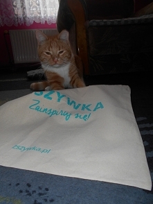 Wygrana w konkursie Halloweenowy zawrót głowy