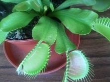 fotka z tego samego dnia co obok