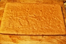 Ciasto biszkoptowe Camargo 2