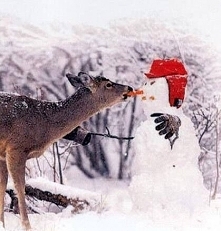 Zapraszam! Zaobserwuj mój profil, odpłacę się tym samym! Pozdrawiam; )
