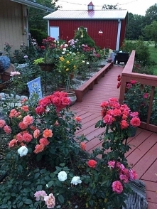 Good morning♥♥♥