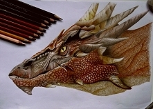 Smok narysowany jakiś rok temu :)