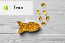 Tran - co warto o nim wiedzieć?