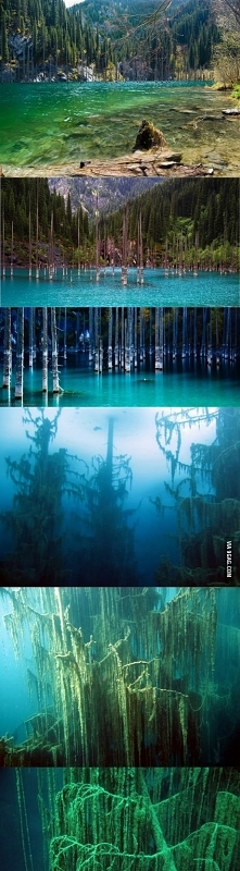 The sunken forest of Lake Kaindy (Kazakhstan) by 9GAG