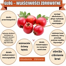 GŁÓG I JEGO KORZYŚCI ZDROWOTNE