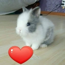 Maleńka kuleczka :*5 tygodni