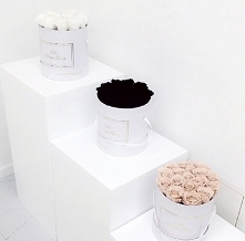 A może troszkę w innych kolorach.