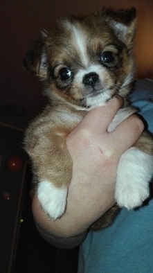 jestem taki słodki :*