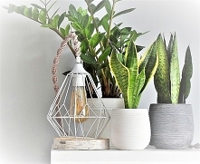 Lampka BRAID CAGE kawa z mlekiem.