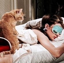 #całaja #dzieńkobiet