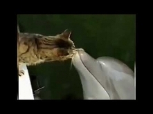 Ludzie tak nie potrafią...