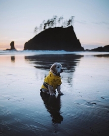 źródło: cameronleeanderson