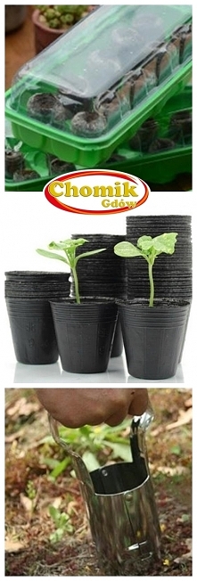 Wiosna już na dobre zadomowiła się w naszych ogrodach. Kwiecień to ostatni dzwonek do siania warzyw i kwiatów, którymi cieszyć się będziemy przez całe lato, aż do jesieni!