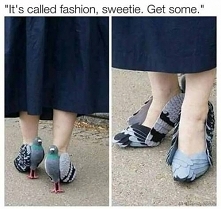 własnym oczom nie wierzę