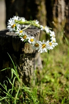 Wiosna, ach to ty <3