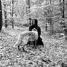 jeszcze jeden mój leśny dru...